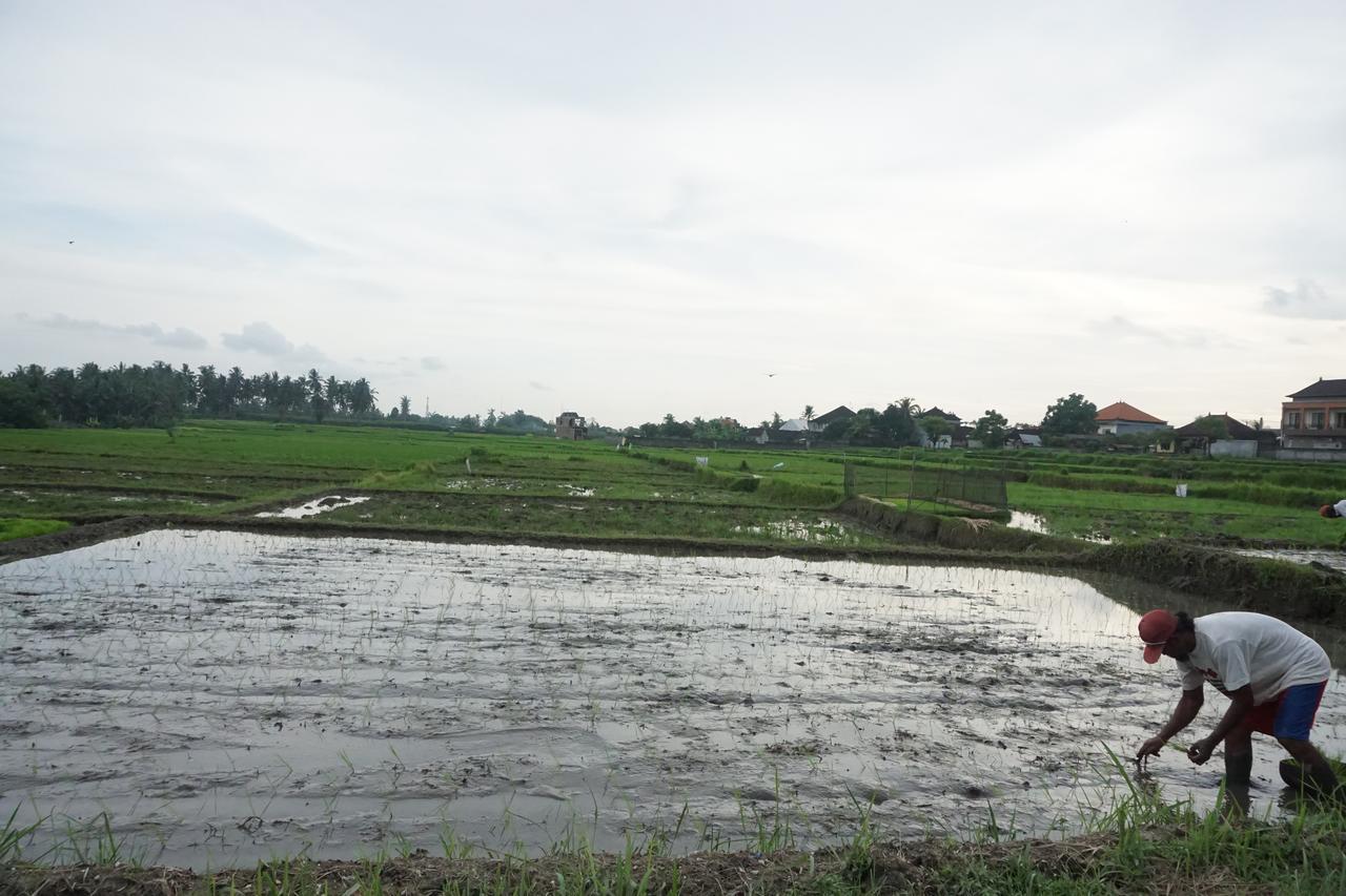 מלון Pondok Uma Ubud מראה חיצוני תמונה